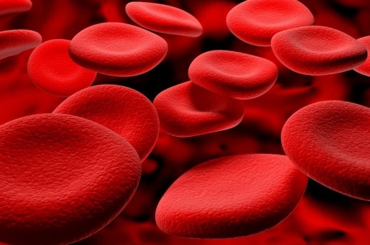 fungsi-darah-merah-plasma-dan-keping-darah